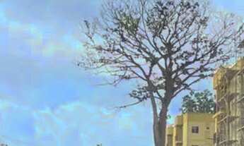 Imagem 2: Apartamento Novo, 2 quartos