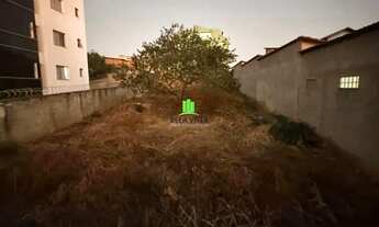 Imagem 3: Lote em Vila Pinto Coelho