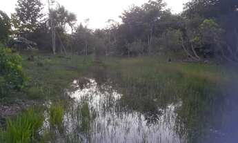 Imagem: Sitio a venda