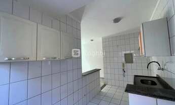 Imagem 7: Para locação, Triângulo, Porto Velho, RO