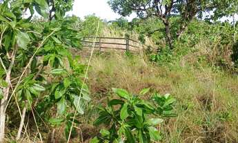 Imagem 4: Vendo chácara em jaraguá Góias aceito propostas pego carro também
