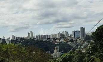 Imagem 4: Terreno no bairro Salgado Filho