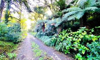 Imagem 7: A venda terreno de 7.620m², localizado em Canela