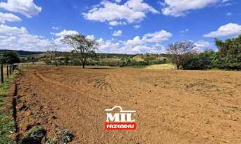 Imagem 2: Fazendinha de Dupla Aptidão, localizada no mun. de Leopoldo de Bulhões