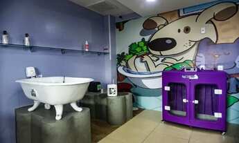 Imagem: PET SHOP MONTADO EM BAURU