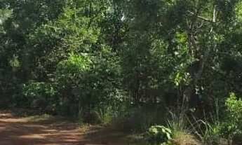 Imagem: Terrenos para Chácara de 2500m² - Ótima