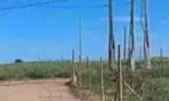 Imagem 2: Lote Terreno / lote com venda por R$65.000