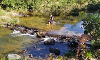 Imagem 4: Terreno 35000 metros