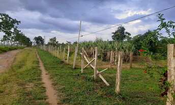 Imagem: FAZENDA RESIDENCIAL em BENEVIDES - PA, Estrada