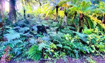 Imagem 3: A venda terreno de 7.620m², localizado em Canela