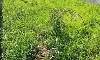 Imagem: TERRENO PARA VENDER EM CAÇAPAVA