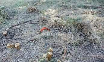 Imagem 6: Lote em Rua das Orquídeas - Loteamento Vale das Flores - Atibaia/SP