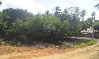 Imagem 6: Sua Oportunidade de Investimento em Maragogi!