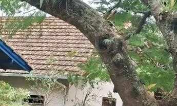 Imagem: Terreno com 85.884 m2, com 3 casas à venda