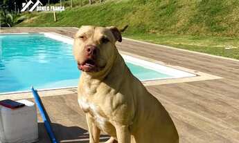 Imagem 5: Vende-se chácara no interior de Anchieta ES próximo a Meaípe