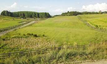 Imagem 6: Lote em RS 235 - Saiqui - Canela/RS