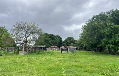 Imagem 6: Fazenda de oportunidade