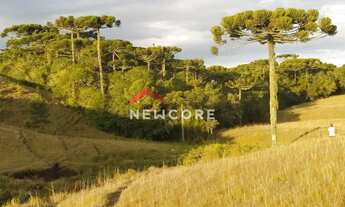 Imagem 5: Lote em Estrada do Blang - Interior - São Francisco de Paula/RS