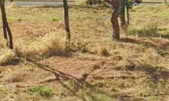 Imagem 3: Lote de 250.42m2 troca e venda em casas e chacaras