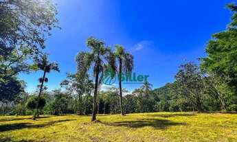 Imagem 4: Sítio de 3 hectares em Morungava