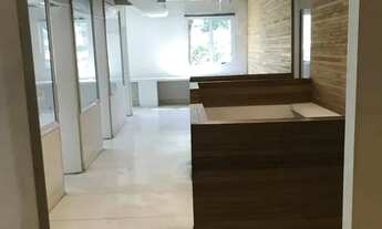 Imagem 3: CONJ. COMERCIAL - MOEMA PÁSSAROS - SP