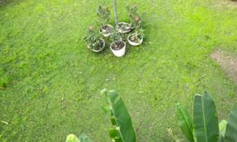 Imagem 5: Casa nos noivos grande?Perto de tudo!!4 suítes,4 salas,mais de 600 m2