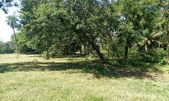 Imagem 6: Sitio com 10 hectares de porteira fechada na região da praia grande na cidade de