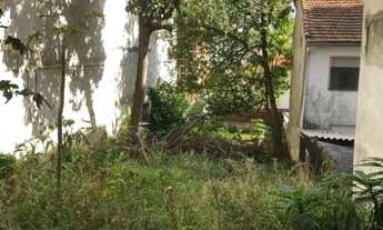 Imagem 4: AREA - PERDIZES - SP