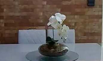 Imagem 7: Apartamento com 4 dormitórios à venda, 240 m² por R$ 2.100.000,00 - Piratininga - Niterói