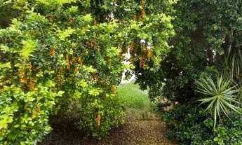 Imagem 6: Ótimo terreno à venda em Irajá com 300m² , galpão,banheiro e garagem!