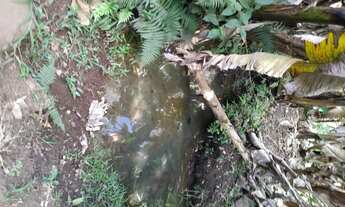 Imagem 4: Maravilhoso sítio, de 10000 m² bem localizado, com vizinhança fixa