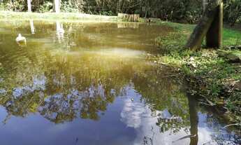 Imagem 6: Maravilhoso sítio, de 10000 m² bem localizado, com vizinhança fixa