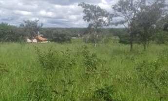 Imagem: Vende se 14 Alq em Cachoeira de Goiás