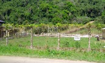 Imagem 2: Terreno em Três Coroas!!!