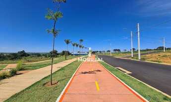 Imagem 7: Lote na Zona Sul - Bem Viver