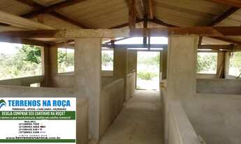 Imagem 5: Fazenda em João Pinheiro MG 280 hectares 3 nascentes aceito imóvel em Sao Paulo