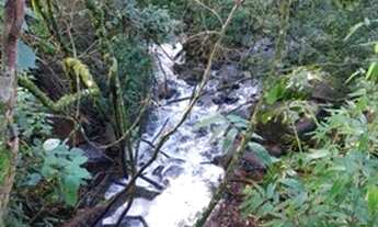 Imagem 3: Sítio / Chácara para Venda em Linha Nova, Linha Nova