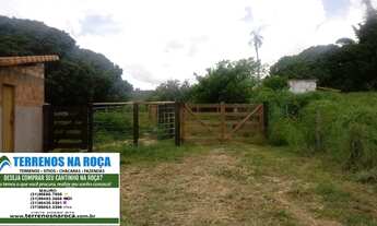 Imagem 6: Fazenda em João Pinheiro MG 280 hectares 3 nascentes aceito imóvel em Sao Paulo