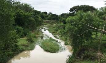 Imagem: Edeia chacara de 2 alqueires, DENTRO DA