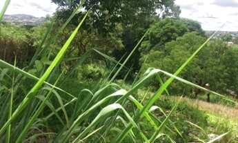 Imagem 2: LAGOA SANTA - Loteamento/Condomínio - Joana Darc