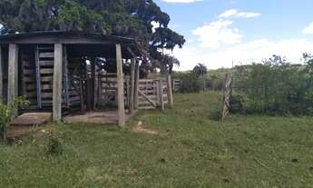 Imagem 3: Campo 125ha para Pecuária em Capivari RS