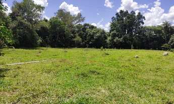Imagem 5: Fazenda Fazendinha 19 Hectares, 16 Hectares. FLORESTA MG