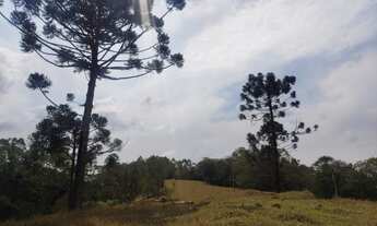 Imagem 6: Lote/Terreno para venda em Sapucaí-Mirim - MG