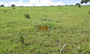 Imagem 6: Sítio de 68ha - BR190, próximo ao DF