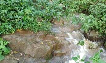 Imagem 6: Sítio / Chácara para Venda em Linha Nova, Linha Nova