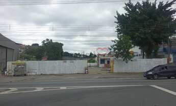 Imagem: São Paulo - Terreno Padrão - VILA NOVA