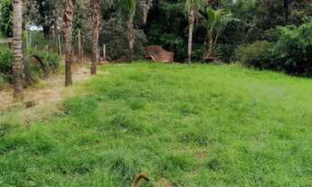 Imagem 6: Chácara Monte Alegre 3,5 ALQUEIRE