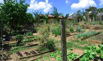 Imagem 2: Sitio para venda em Joaquim Egidio, Campinas/SP