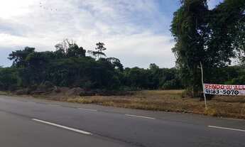 Imagem 7: Rodovia Am 070 - Manoel Urbano