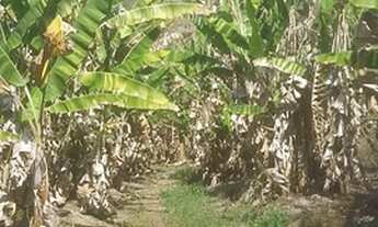 Imagem: Linda área para venda com 48.400 m² no